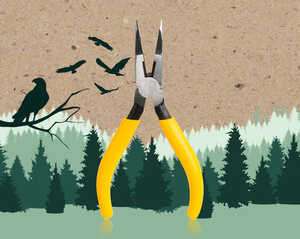 Python Pliers