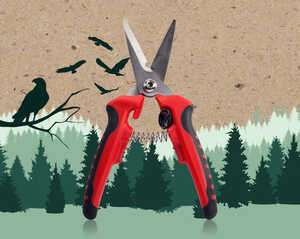 Serrated Savage